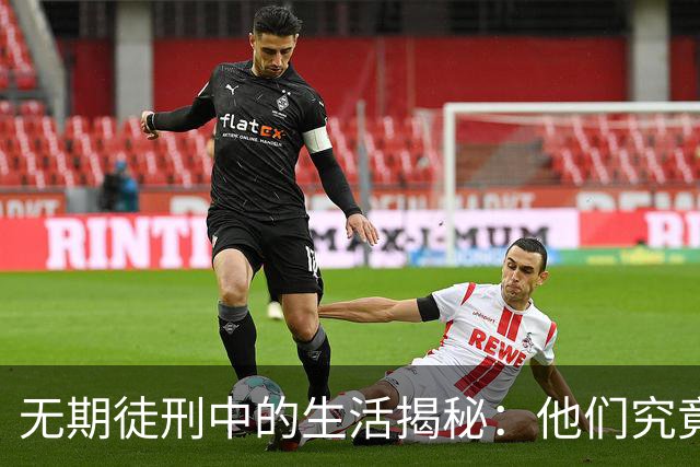 无期徒刑中的生活揭秘：他们究竟在监狱里干啥？