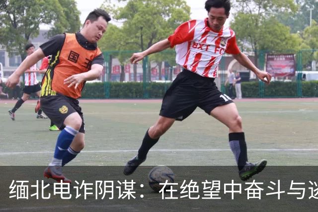 缅北电诈阴谋：在绝望中奋斗与逃生的故事